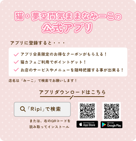 猫・夢空間気ままなみーこの公式アプリ